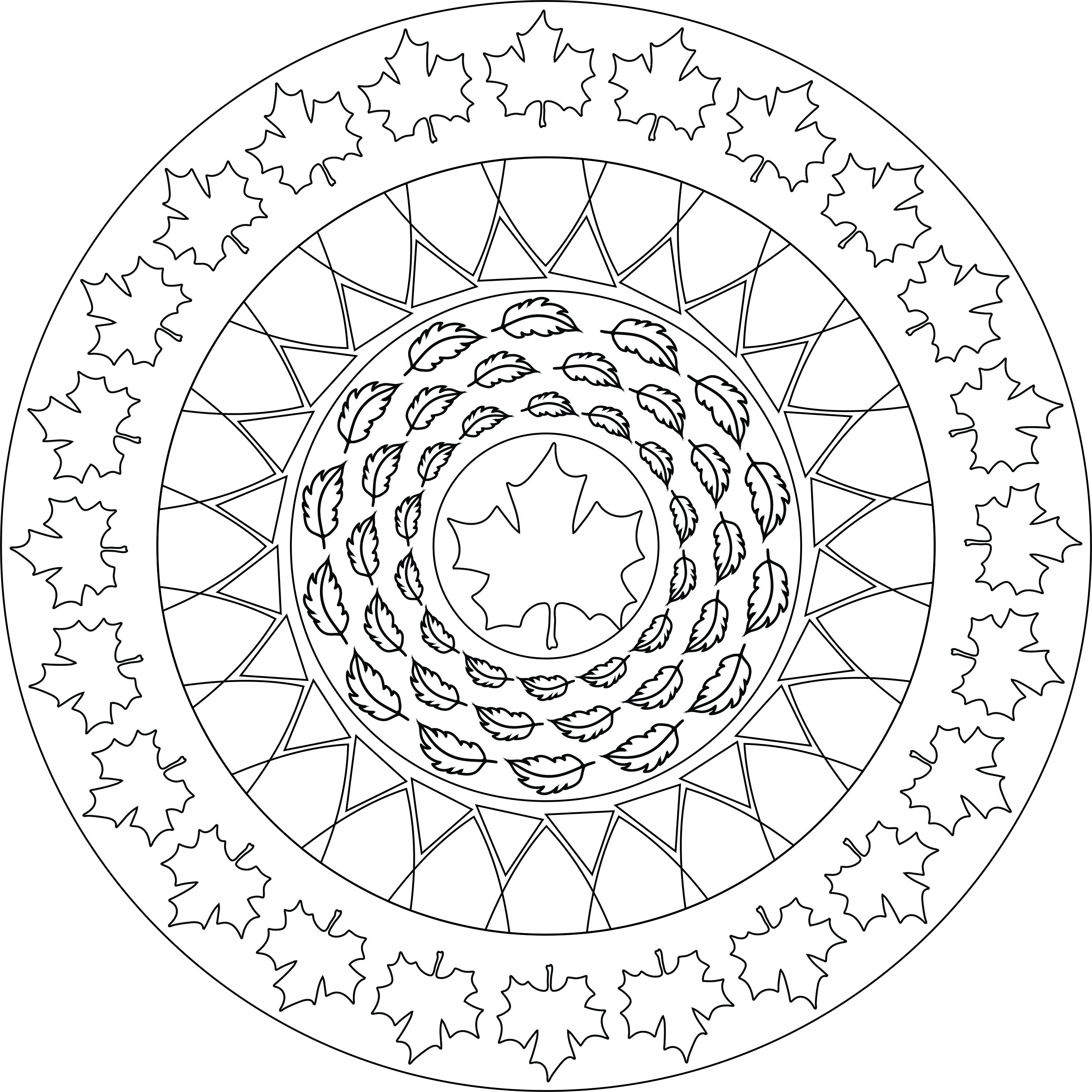 Mandalas Para Pintar: mandalas para colorear  Mandala coloring pages,  Mandala, Mandala coloring