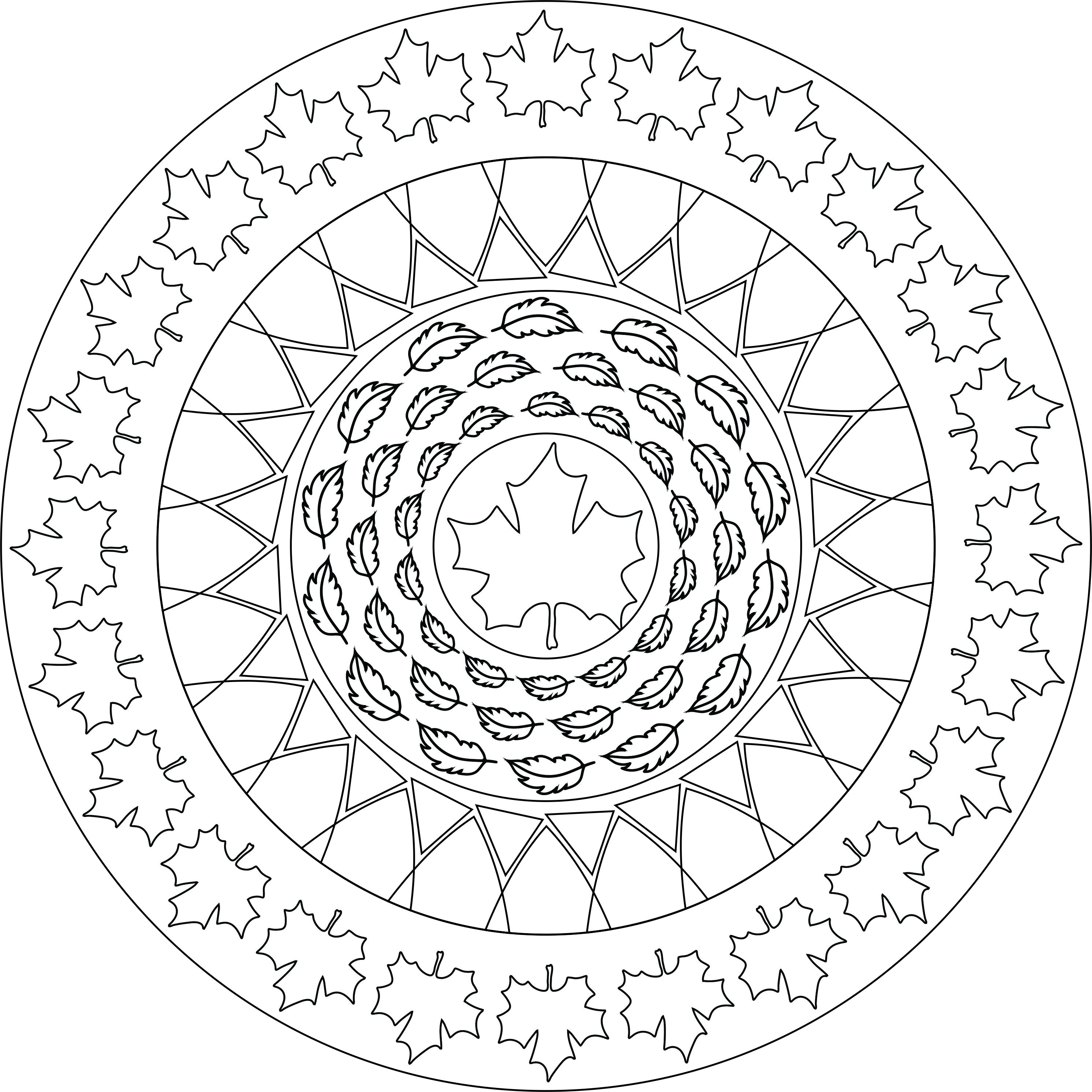 Mandalas terapêuticas - para colorir