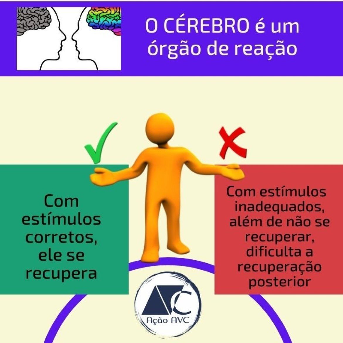 Estímulos Cerebrais