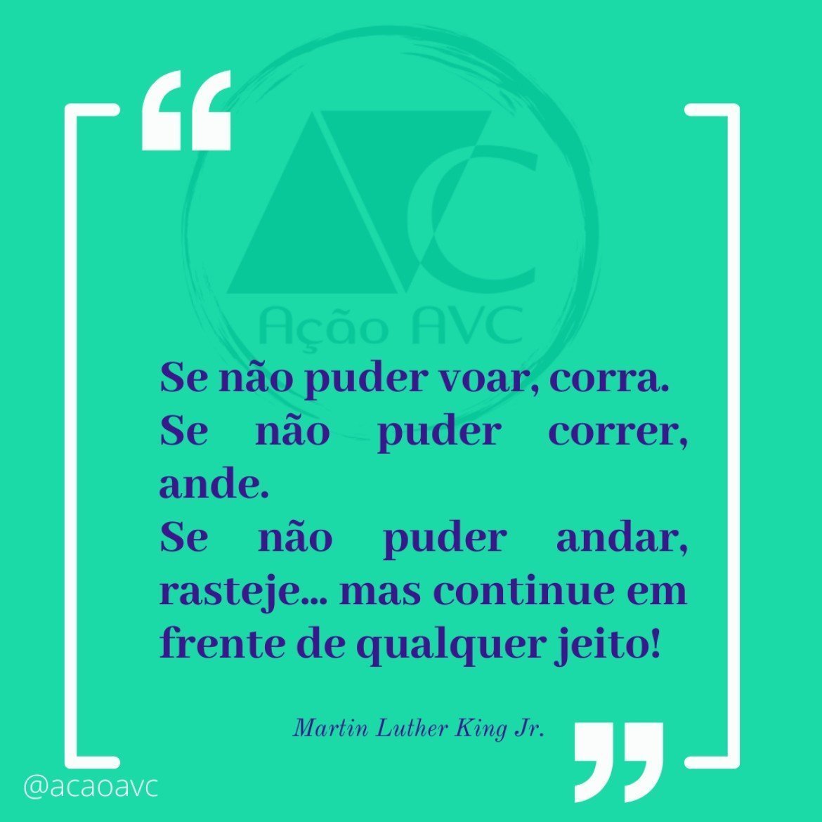 se não puder voar, corra. Se não puder correr, ande. Se não puderandar, rasteje.... mas continue em frente de qualquer jeito. Martins Luther King Jr.