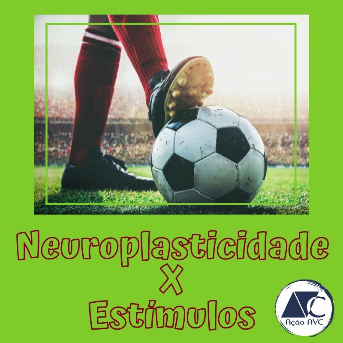 Neuroplasticidade na reabilitação após o AVC neuroplasticidade X estímulos corretos