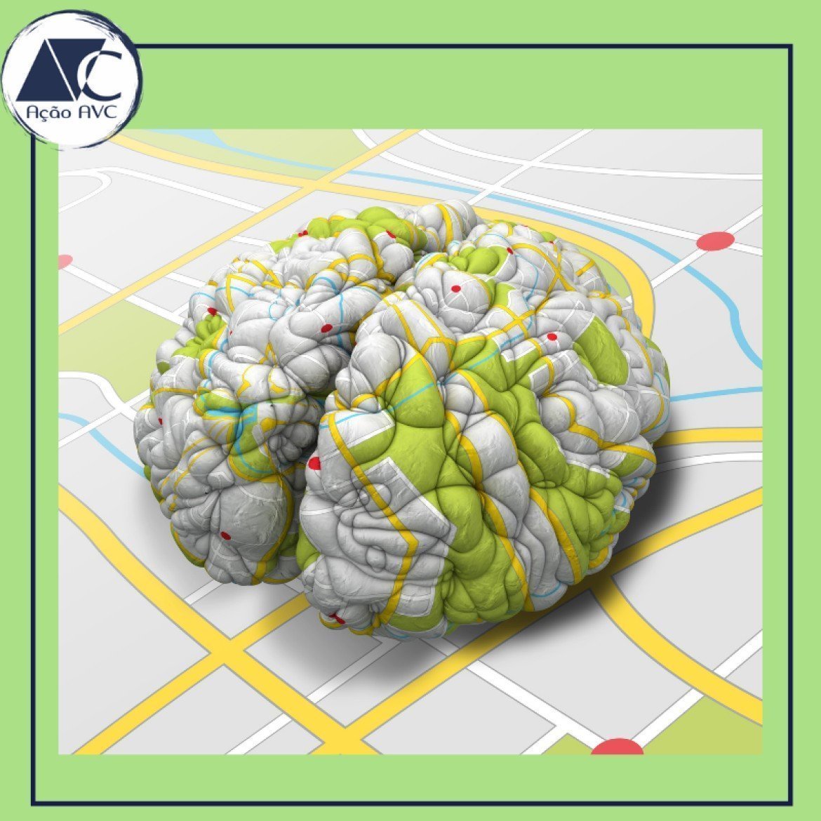 Cérebro é como um mapa Cérebro humano comparado a um mapa